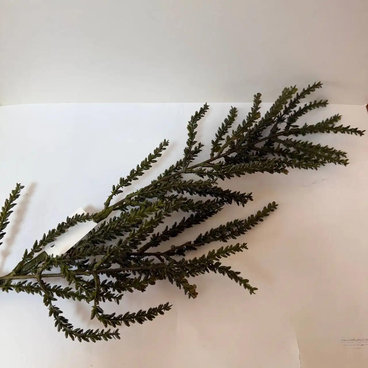 Декоративна гілка «Autumn Calm», 70 см зелена Декоративна гілка «Autumn Calm», 70 см зелена